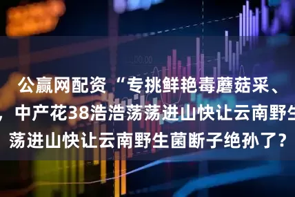 公赢网配资 “专挑鲜艳毒蘑菇采、拍完照全扔掉”，中产花38浩浩荡荡进山快让云南野生菌断子绝孙了？